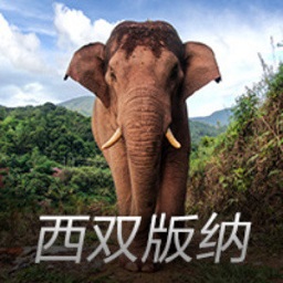 友好医院事件中的五大输家，最惨的并不是肖副主任